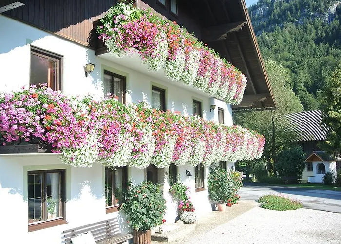 Treindlhof