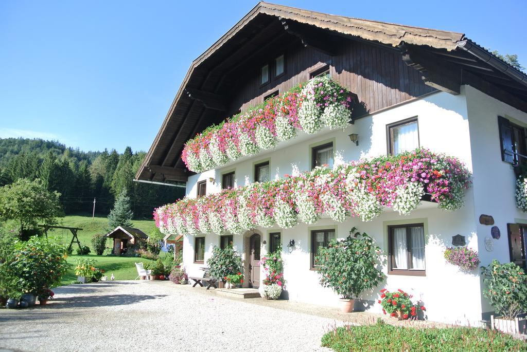 Farm stay Treindlhof Fuschl am See