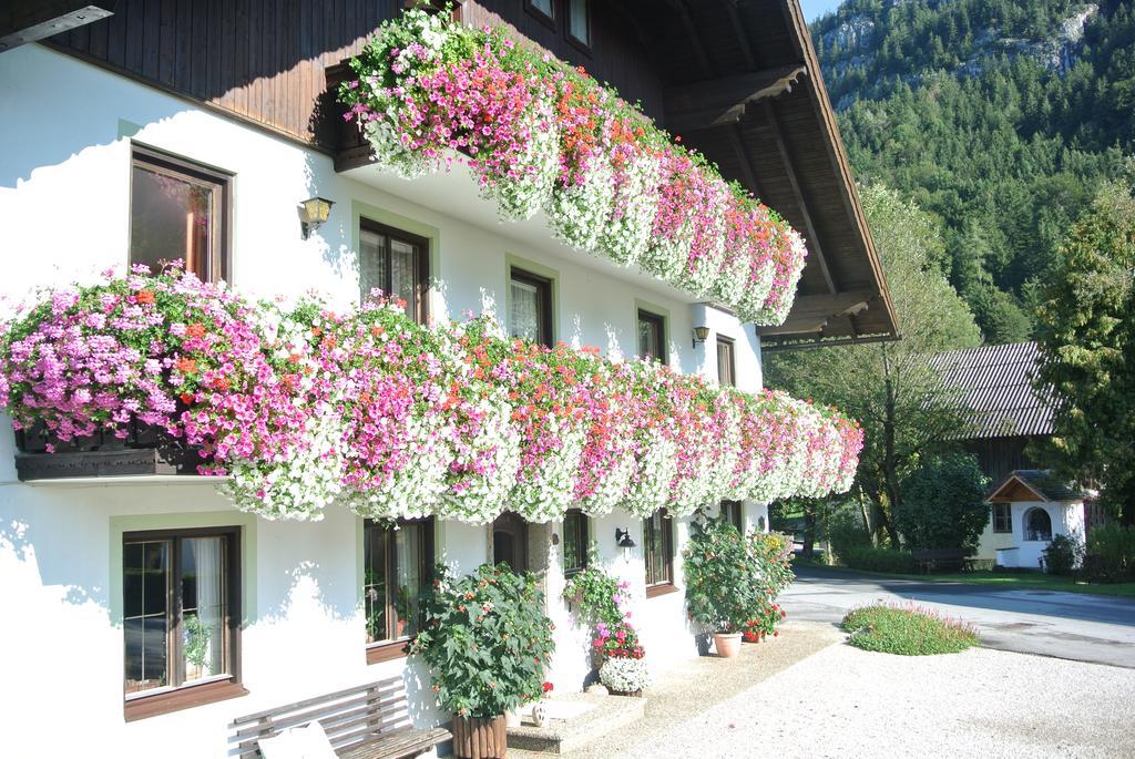 Farma Treindlhof *