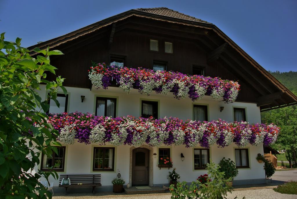 Farm stay Treindlhof Fuschl am See