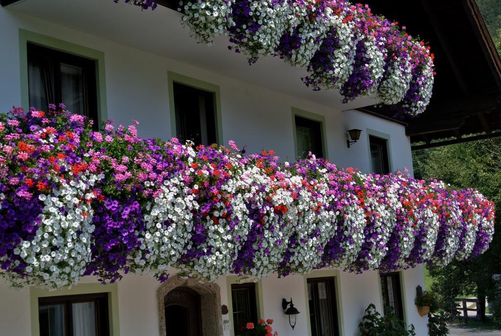 Farm stay Treindlhof