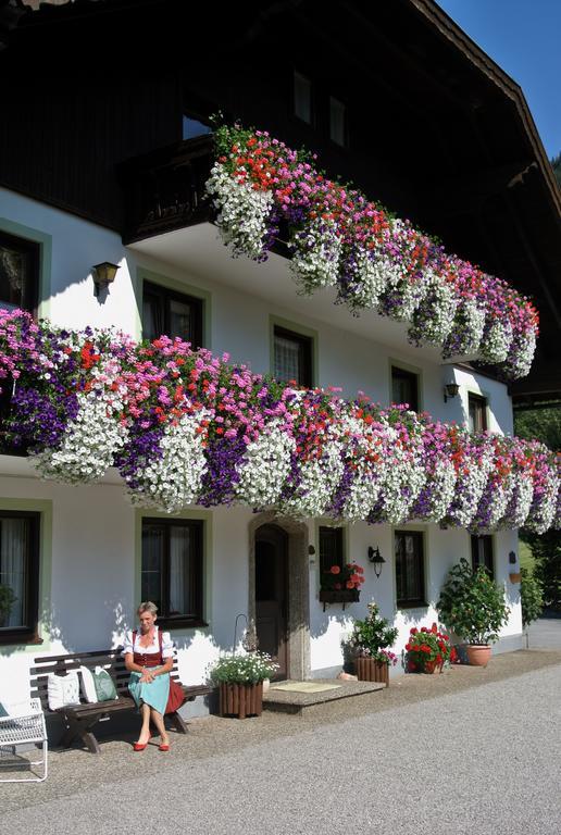 Farm stay Treindlhof *